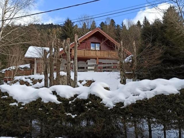 Les Cimes Blanches Cledicihome Chalet 10 Pers Spa & Grand Terrain 4 Minutes Des Pistes La Bresse Dış mekan fotoğraf