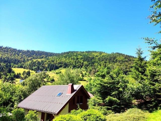 Les Cimes Blanches Cledicihome Chalet 10 Pers Spa & Grand Terrain 4 Minutes Des Pistes La Bresse Dış mekan fotoğraf